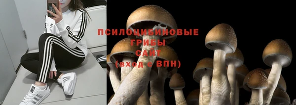 бутират Абаза