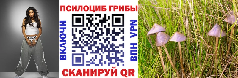 Галлюциногенные грибы прущие грибы  наркошоп  Вышний Волочёк 